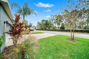 14902 CARAVAN AVENUE, ODESSA, FL 33556 - MLS#MFRTB8455328