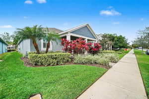 14902 CARAVAN AVENUE, ODESSA, FL 33556 - MLS#MFRTB8455328