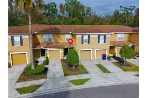 4309 WINDING RIVER WAY, LAND O LAKES, FL 34639 - MLS#MFRTB8455330