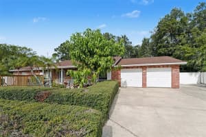 7114 Mintwood Ct, TAMPA 7114 Mintwood Ct, TAMPA