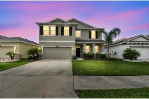 8389 BOWER BASS CIRCLE, WESLEY CHAPEL, FL 33545 - MLS#MFRTB8455360