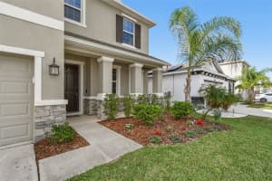 8389 BOWER BASS CIRCLE, WESLEY CHAPEL, FL 33545 - MLS#MFRTB8455360