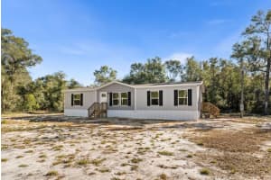528 389 AVENUE, OLD TOWN, FL 32680 - MLS#MFRTB8455362