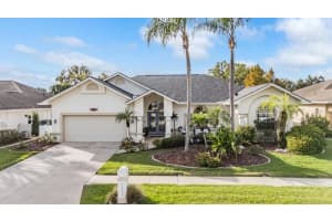 23226 Cypress Trail Dr, LUTZ