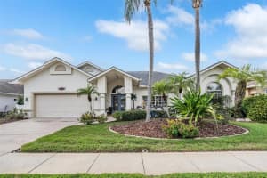 23226 CYPRESS TRAIL DRIVE, LUTZ, FL 33549 - MLS#MFRTB8455369