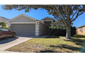 581 Painted Leaf Dr, BROOKSVILLE