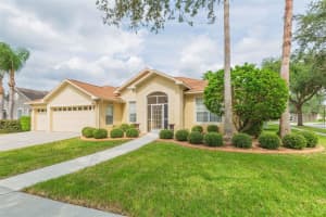 10914 WILDCAT DRIVE, RIVERVIEW, FL 33579 - MLS#MFRTB8455417