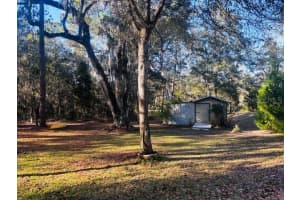 3351 RACKLEY ROAD, BROOKSVILLE, FL 34604 - MLS#MFRTB8455475