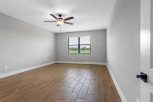 13439 WALDEN SHEFFIELD ROAD, DOVER, FL 33527 - MLS#MFRTB8455503