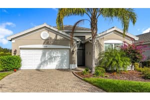 15459 SANTA POLA DRIVE, WIMAUMA, FL 33598 - MLS#MFRTB8455512