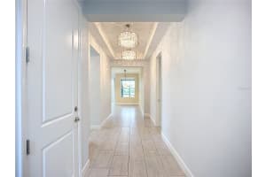 15459 SANTA POLA DRIVE, WIMAUMA, FL 33598 - MLS#MFRTB8455512