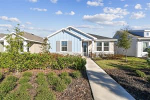 28748 Rambutan Dr, WESLEY CHAPEL 28748 Rambutan Dr, WESLEY CHAPEL