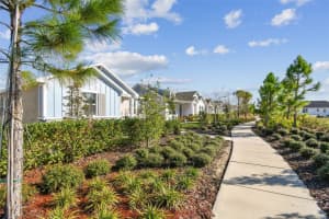 28748 RAMBUTAN DRIVE, WESLEY CHAPEL, FL 33543 - MLS#MFRTB8455516