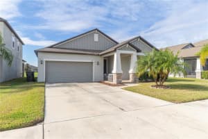11874 SUNBURST MARBLE ROAD, RIVERVIEW, FL 33579 - MLS#MFRTB8455562