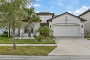 30462 Caravelle Ln, WESLEY CHAPEL 30462 Caravelle Ln, WESLEY CHAPEL