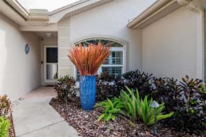 3021 BROOKFIELD LANE, CLEARWATER, FL 33761 - MLS#MFRTB8455629