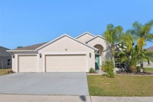 24311 Branchwood Ct, LUTZ