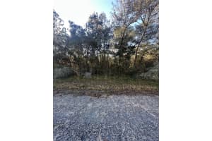 3908 TROPIC LANE, DUNNELLON, FL 34433 - MLS#MFRTB8455730