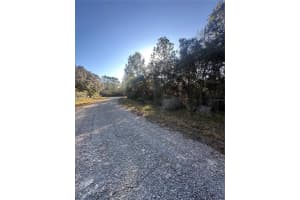 3908 TROPIC LANE, DUNNELLON, FL 34433 - MLS#MFRTB8455730