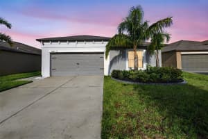 9645 LEMON DROP LOOP, RUSKIN, FL 33573 - MLS#MFRTB8455736