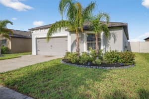 9645 LEMON DROP LOOP, RUSKIN, FL 33573 - MLS#MFRTB8455736