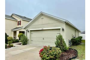 10214 Mangrove Well Rd, SUN CITY CENTER