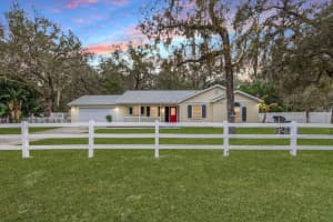 12022 BETHWOOD AVENUE, NEW PORT RICHEY, FL 34654 - MLS#MFRTB8455763