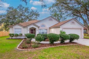 24195 LANDING DRIVE, LUTZ, FL 33559 - MLS#MFRTB8455772