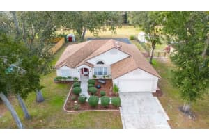 24195 LANDING DRIVE, LUTZ, FL 33559 - MLS#MFRTB8455772