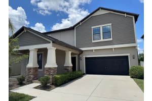 4335 MOUNT BANDON DRIVE, LAND O LAKES, FL 34638 - MLS#MFRTB8455800