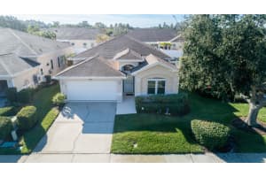 917 MICHELE CIRCLE, DUNEDIN, FL 34698 - MLS#MFRTB8455817