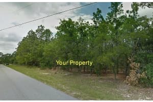 1431 OMAHA PLACE, CITRUS SPRINGS, FL 34434 - MLS#MFRTB8455852