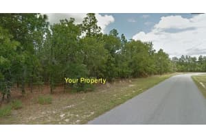 1431 OMAHA PLACE, CITRUS SPRINGS, FL 34434 - MLS#MFRTB8455852