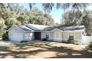 12005 DEERFOOT PLACE, THONOTOSASSA, FL 33592 - MLS#MFRTB8455873