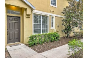 6811 BREEZY PALM DRIVE, RIVERVIEW, FL 33578 - MLS#MFRTB8455882