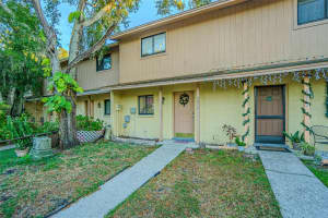 4010 Oak Limb Ct, TAMPA