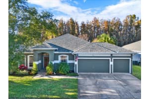 28701 Falling Leaves Way, WESLEY CHAPEL