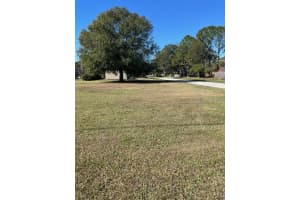 Lot 589 MARIE DRIVE, ZEPHYRHILLS, FL 33541 - MLS#MFRTB8455931