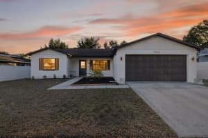 7822 BAHAMA AVENUE, PORT RICHEY, FL 34668 - MLS#MFRTB8455942