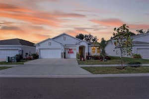 33391 COLBURN CREEK WAY, WESLEY CHAPEL, FL 33545 - MLS#MFRTB8455953