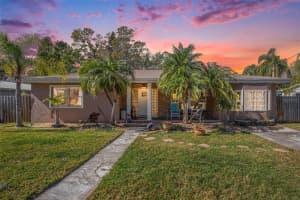 705 BAYSHORE DRIVE, TARPON SPRINGS, FL 34689 - MLS#MFRTB8456024