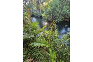 14635 CORAL DRIVE, HUDSON, FL 34667 - MLS#MFRTB8456047