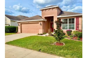 12822 HAMPTON HILL DRIVE, RIVERVIEW, FL 33578 - MLS#MFRTB8456056