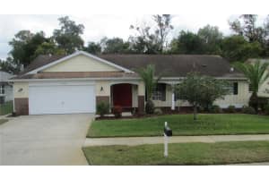 13406 SHADBERRY LANE, HUDSON, FL 34667 - MLS#MFRTB8456073