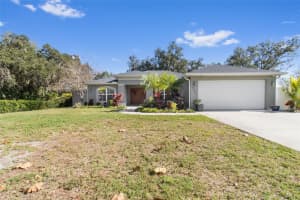 546 WATERFALL DRIVE, SPRING HILL, FL 34608 - MLS#MFRTB8456093