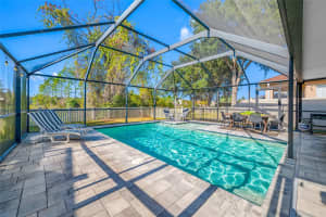 21351 MORNING MIST WAY, LAND O LAKES, FL 34637 - MLS#MFRTB8456106