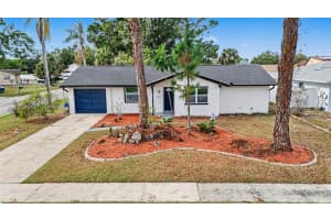 6802 Chippendale Ct, TAMPA 6802 Chippendale Ct, TAMPA