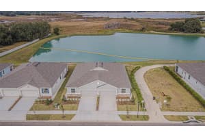 31415 PAPER BIRCH STREET, WESLEY CHAPEL, FL 33545 - MLS#MFRTB8456200