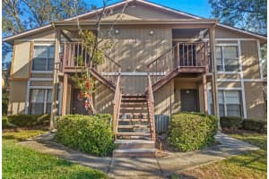 14419 HANGING MOSS CIRCLE, TAMPA, FL 33613 - MLS#MFRTB8456208