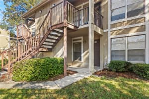 14419 HANGING MOSS CIRCLE, TAMPA, FL 33613 - MLS#MFRTB8456208